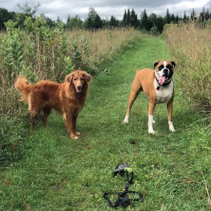 K9SIDEKIX Training Solutions