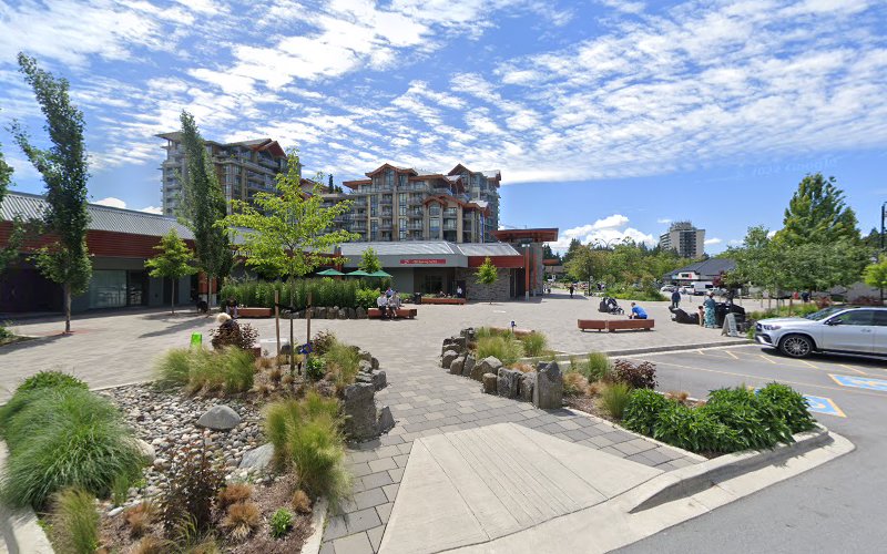 North Shore Cat Sitters