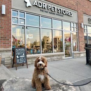 ADR Pet Stores – Markham
