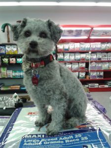Walden Pet Food Plus