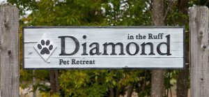 Diamond In The Ruff Pet Retreat