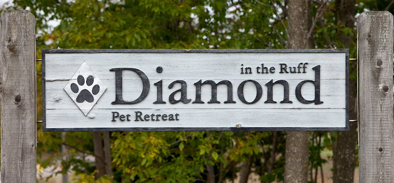 Diamond In The Ruff Pet Retreat
