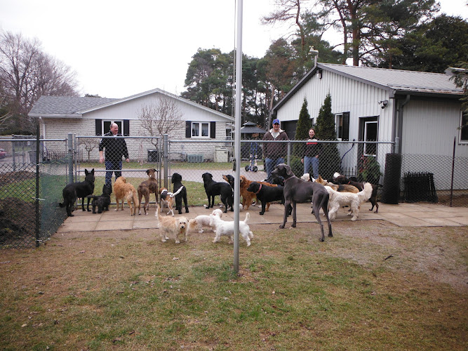 Windham House Pet Services Inc.