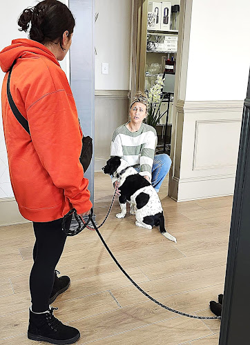 Reggie’s Retreat Inc.