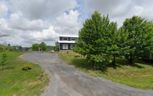 Paws N Play Doggie Daycare