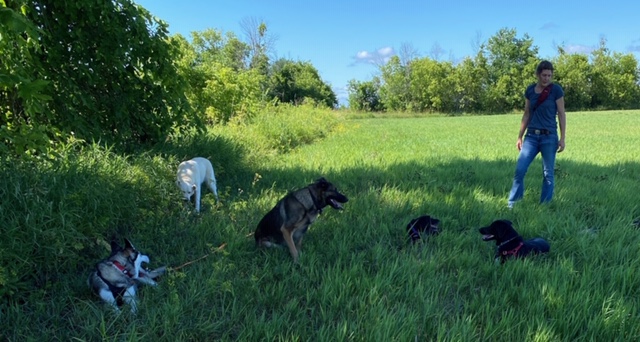 Benton Kennels