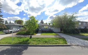 Making Tracks – Adventures for Dogs