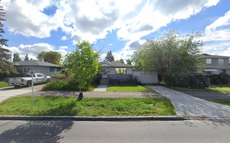 Making Tracks – Adventures for Dogs