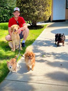 Your Human Pet Services