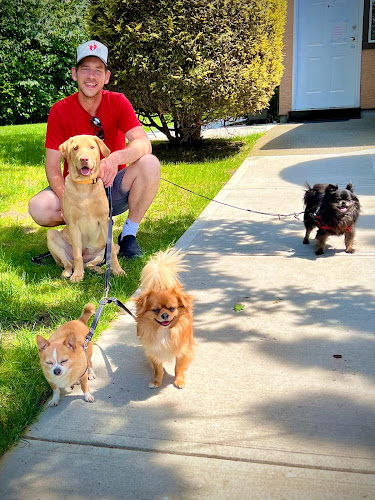 Your Human Pet Services