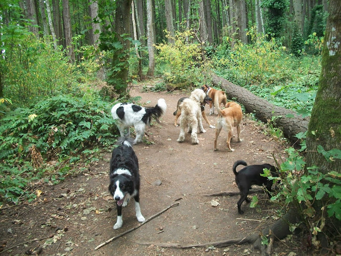 Peace of Mind Petcare