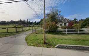 Shaggy-Dawg Dog Grooming