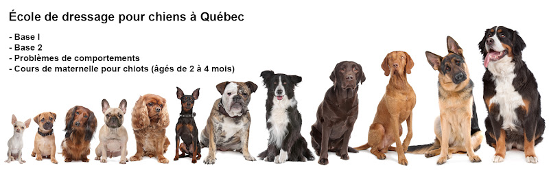 École de dressage Claudine Chantal pour chiens