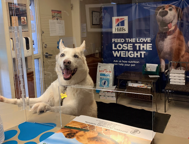 Dufferin Veterinary Hospital