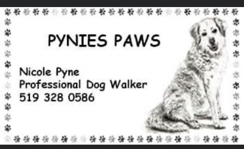 Pynies Paws