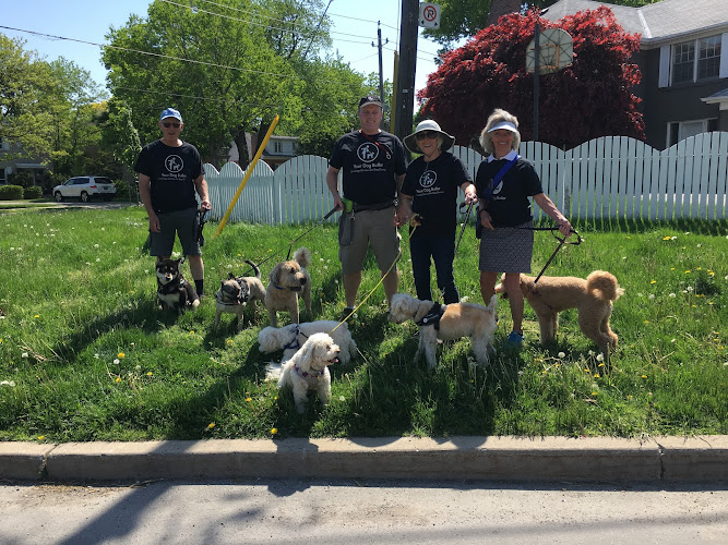 Your Dog Butler – Pet Taxi, Transport & Relocation Leaders in Canada