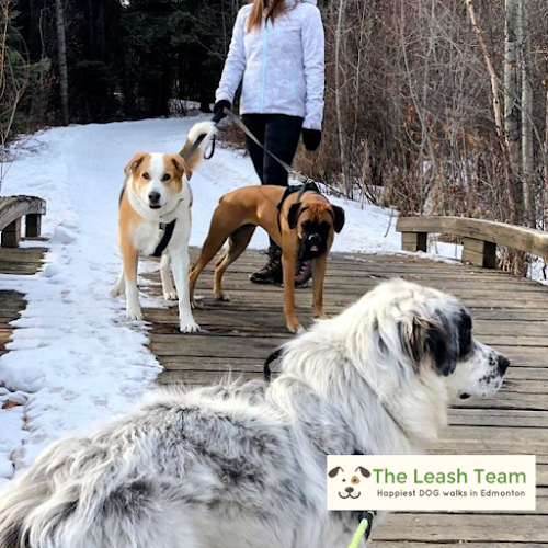 The Leash Team
