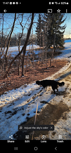 Paw Treks