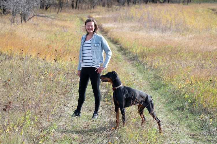 The Noble Hound Dog Training