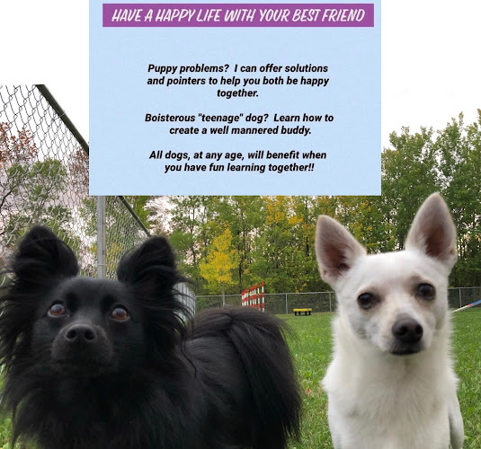 Fitz Your Dog Training, Licensed Family Dog Mediator ®