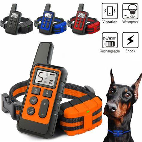 Likewise Dog Hub