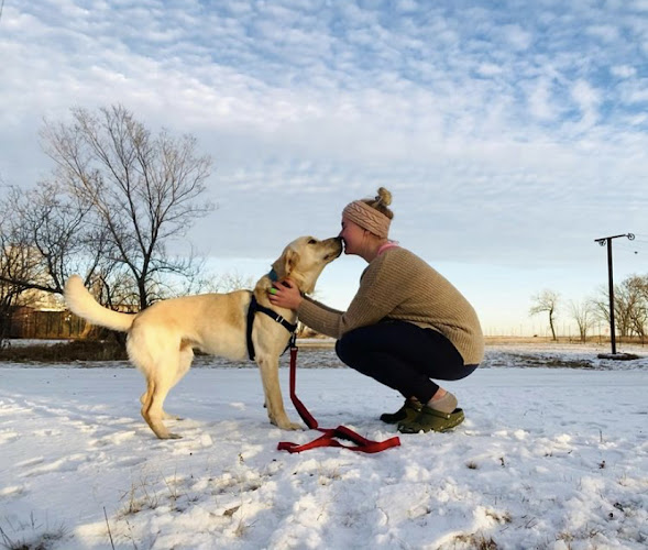 K9 Fuel