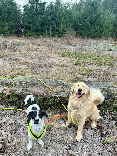 BestPals