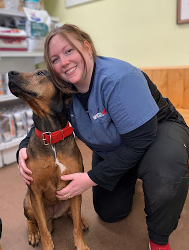 VCA Canada Scarborough Animal Hospital
