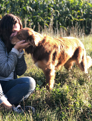 Kala, Services Canins et Équins – Éducation et Dressage – Joliette