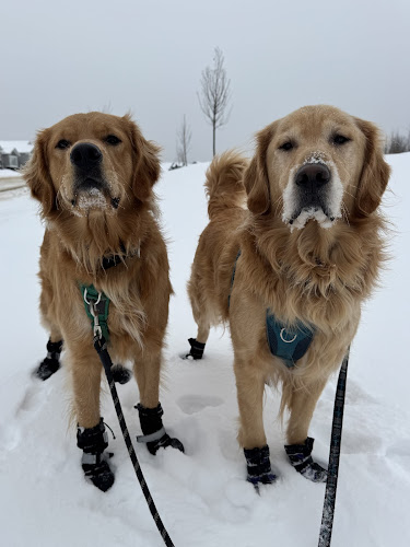 True Pawtential Inc.