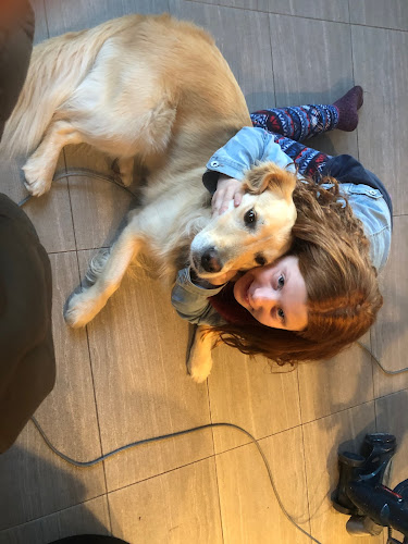 DOGGY DAY CARE DELTA