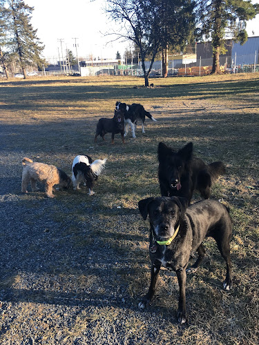 PAW-riffic Pet Services