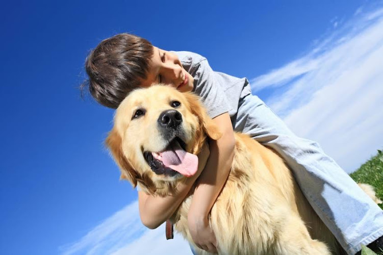 Goldenvale Veterinary Hospital & Kennels
