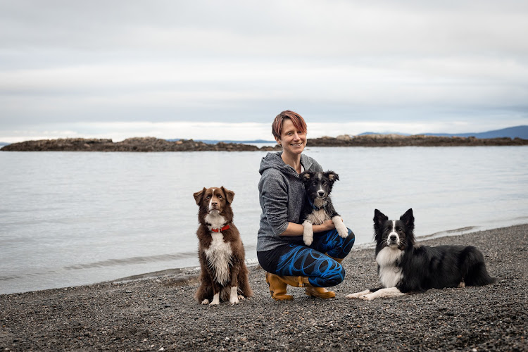 WagTails Dog Training