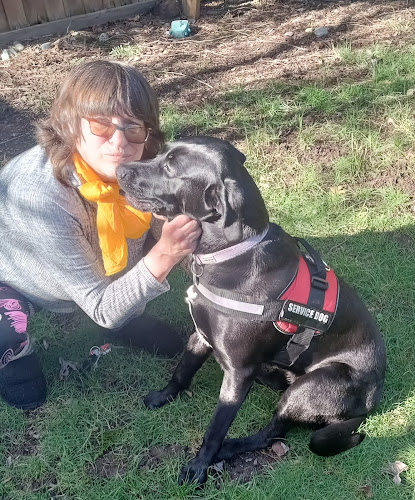 Best Choice Dog Training