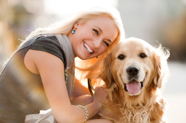Sarnia Good Dogs In-Home Training