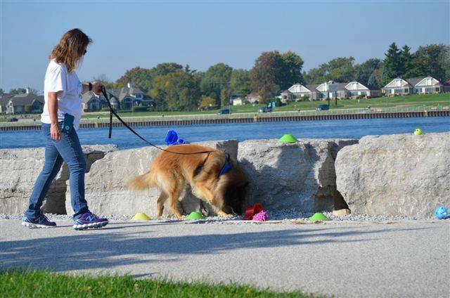 Canine Companion Training Academy