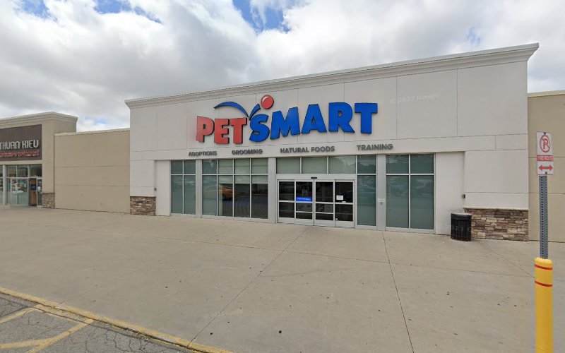 PetSmart Dog Training