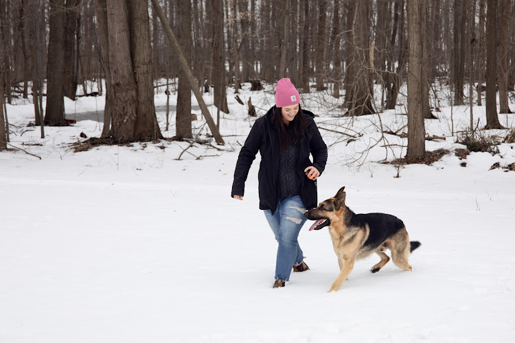 Loving Leader Dog Training