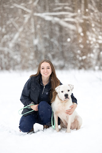 Redefined K9 – behaviour services