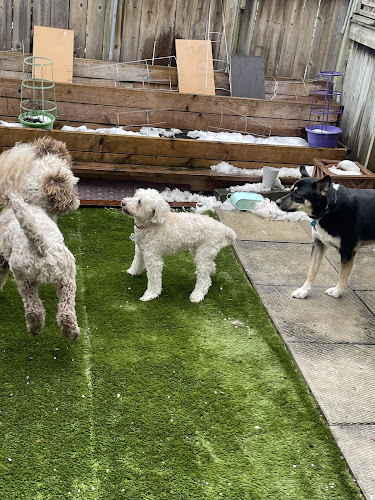 PawSome Pet Care
