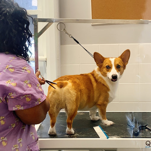 PawsNatural Pet Store