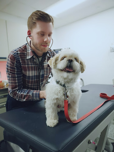 Toronto Animal Health Partners Emergency and Specialty Hospital