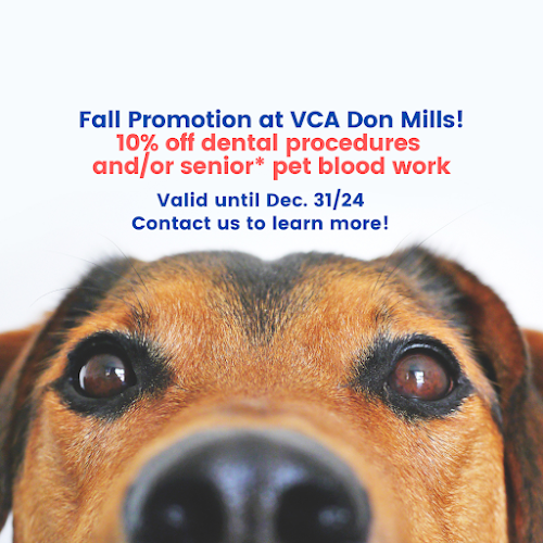 VCA Don Mills Animal Hospital