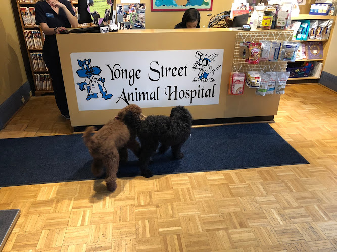 Yonge Street Animal Hospital