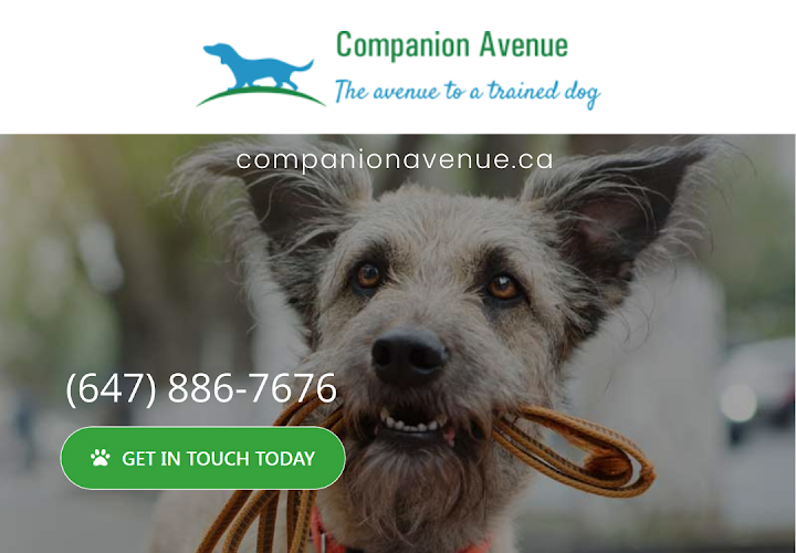 Companion Avenue