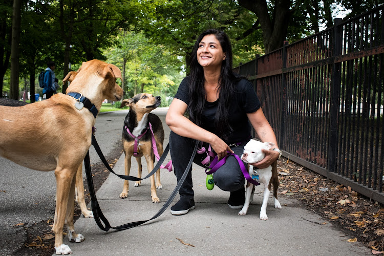 Petsie Dog Walking, Cat and Pet Sitting