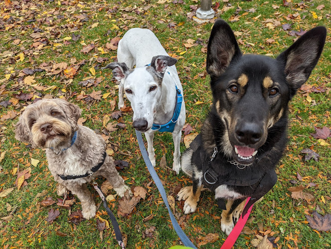 Urban Animal Petcare