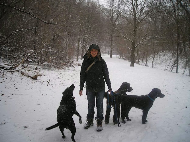 A Walk Apart Toronto Dog Walkers