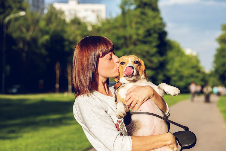 Purrfect Neighbour – Pet Sitting and Home Sitting